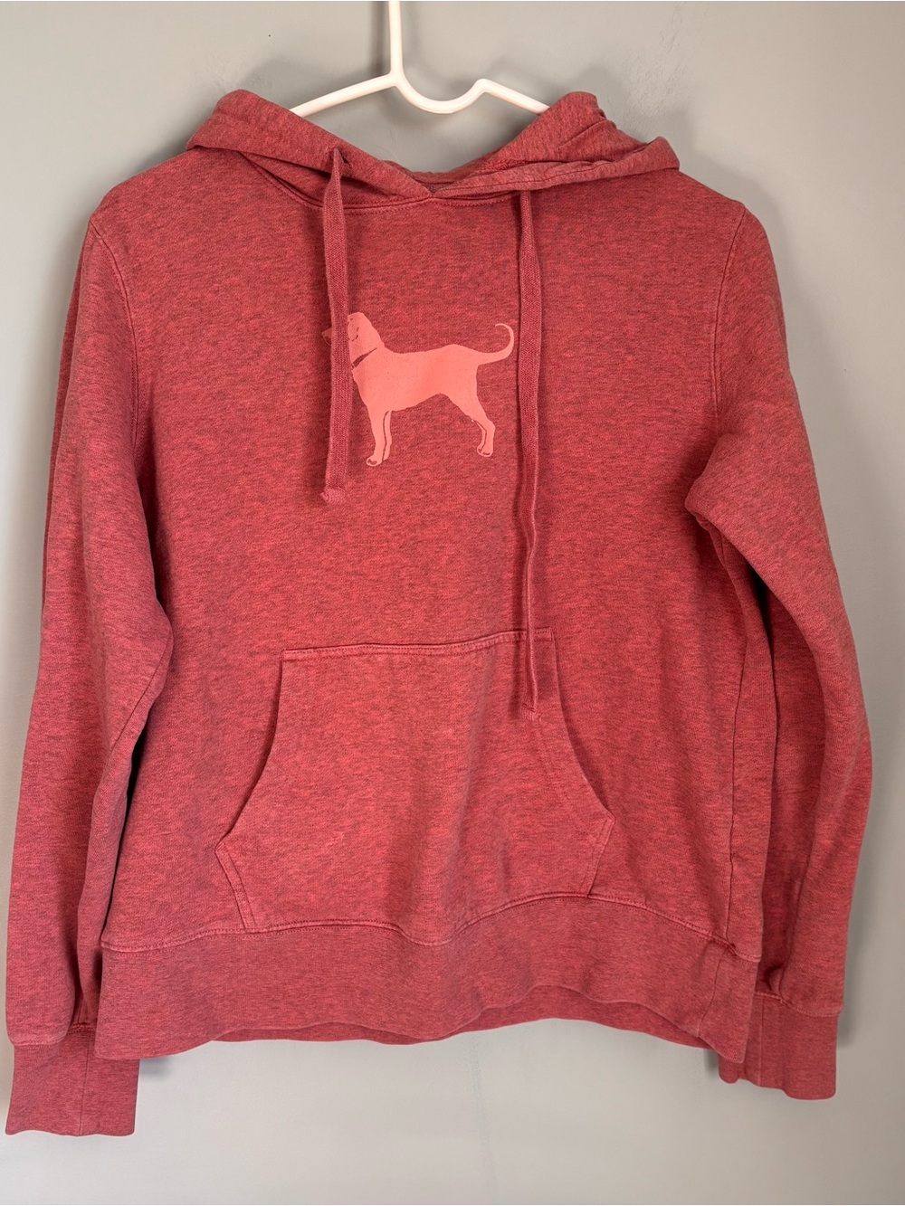 The Black Dog Hoodie